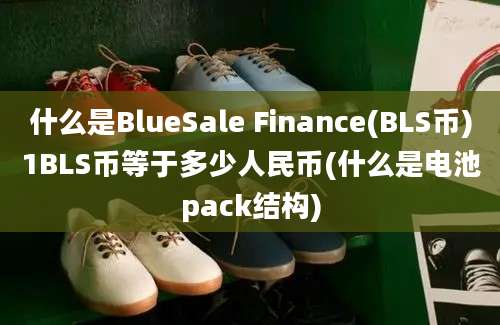 什么是BlueSale Finance(BLS币)1BLS币等于多少人民币(什么是电池pack结构)