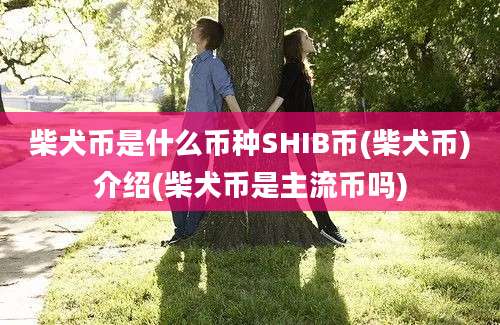 柴犬币是什么币种SHIB币(柴犬币)介绍(柴犬币是主流币吗)