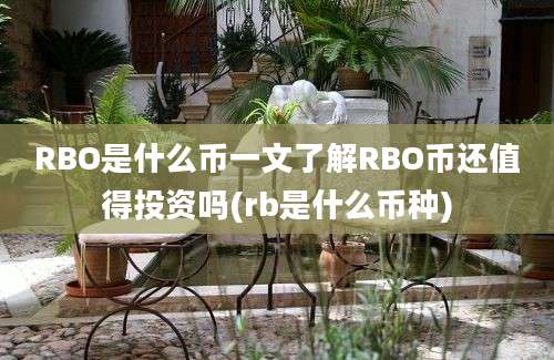 RBO是什么币一文了解RBO币还值得投资吗(rb是什么币种)