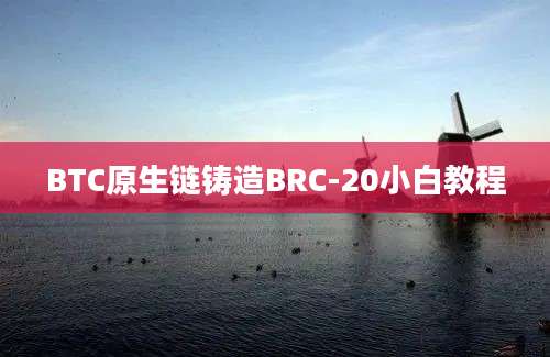 BTC原生链铸造BRC-20小白教程