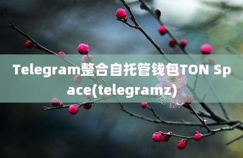 Telegram整合自托管钱包TON Space(telegramz)