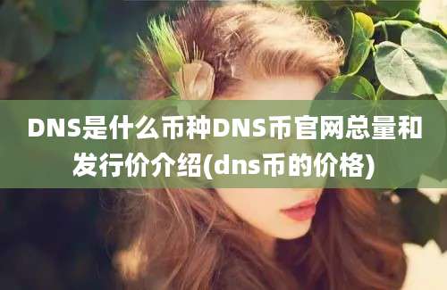 DNS是什么币种DNS币官网总量和发行价介绍(dns币的价格)