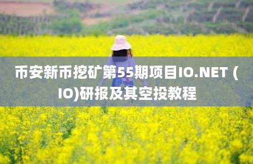 币安新币挖矿第55期项目IO.NET (IO)研报及其空投教程