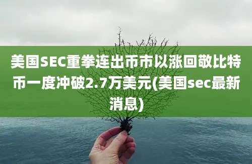 美国SEC重拳连出币市以涨回敬比特币一度冲破2.7万美元(美国sec最新消息)