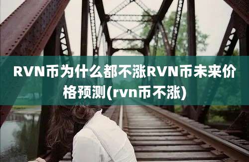 RVN币为什么都不涨RVN币未来价格预测(rvn币不涨)