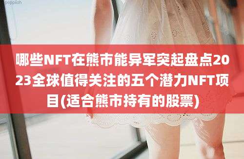 哪些NFT在熊市能异军突起盘点2023全球值得关注的五个潜力NFT项目(适合熊市持有的股票)