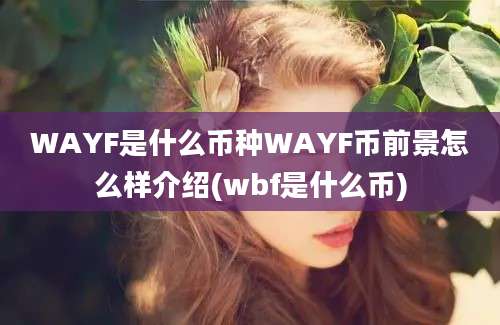 WAYF是什么币种WAYF币前景怎么样介绍(wbf是什么币)