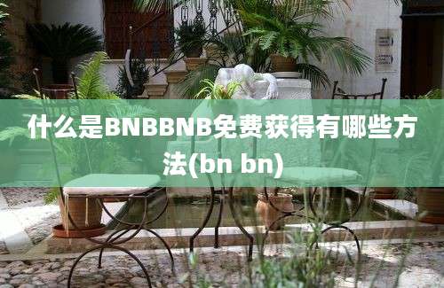 什么是BNBBNB免费获得有哪些方法(bn bn)