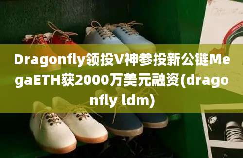 Dragonfly领投V神参投新公链MegaETH获2000万美元融资(dragonfly ldm)