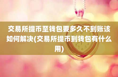 交易所提币至钱包要多久不到账该如何解决(交易所提币到钱包有什么用)