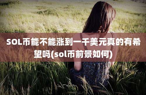 SOL币能不能涨到一千美元真的有希望吗(sol币前景如何)