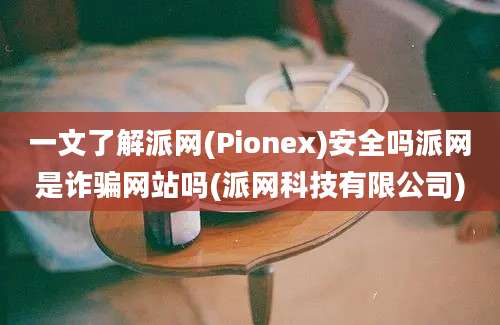 一文了解派网(Pionex)安全吗派网是诈骗网站吗(派网科技有限公司)