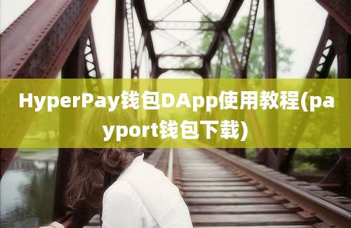 HyperPay钱包DApp使用教程(payport钱包下载)