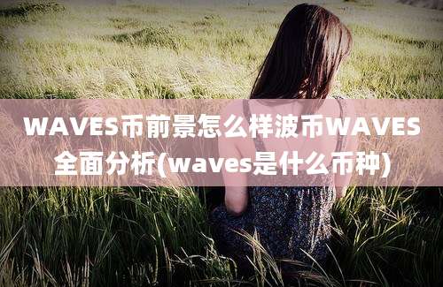 WAVES币前景怎么样波币WAVES全面分析(waves是什么币种)