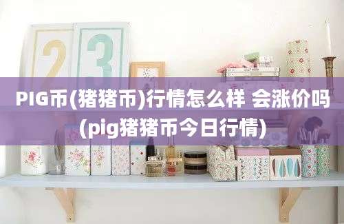 PIG币(猪猪币)行情怎么样 会涨价吗(pig猪猪币今日行情)