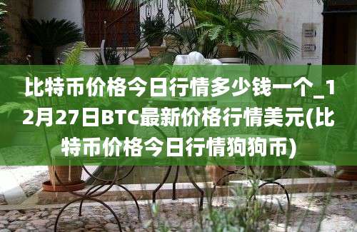 比特币价格今日行情多少钱一个_12月27日BTC最新价格行情美元(比特币价格今日行情狗狗币)