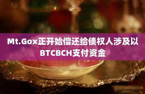 Mt.Gox正开始偿还给债权人涉及以BTCBCH支付资金