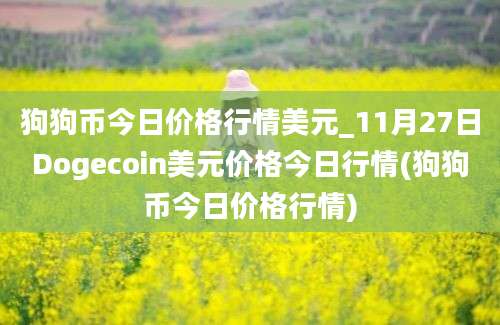 狗狗币今日价格行情美元_11月27日Dogecoin美元价格今日行情(狗狗币今日价格行情)