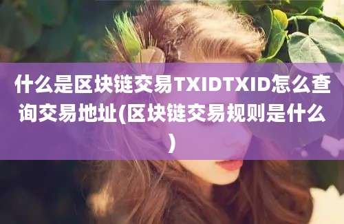 什么是区块链交易TXIDTXID怎么查询交易地址(区块链交易规则是什么)