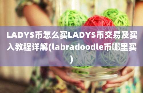 LADYS币怎么买LADYS币交易及买入教程详解(labradoodle币哪里买)