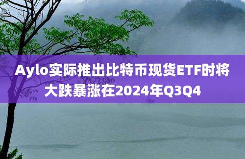 Aylo实际推出比特币现货ETF时将大跌暴涨在2024年Q3Q4