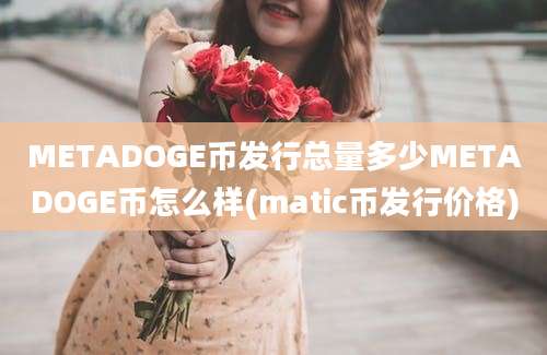 METADOGE币发行总量多少METADOGE币怎么样(matic币发行价格)