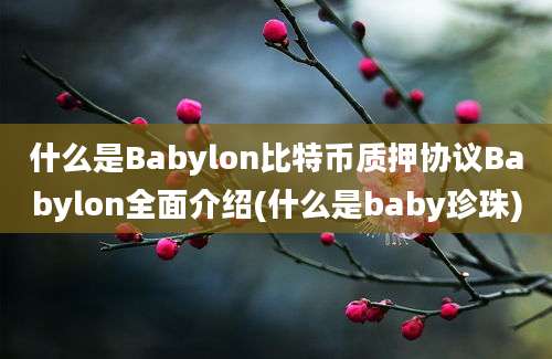 什么是Babylon比特币质押协议Babylon全面介绍(什么是baby珍珠)