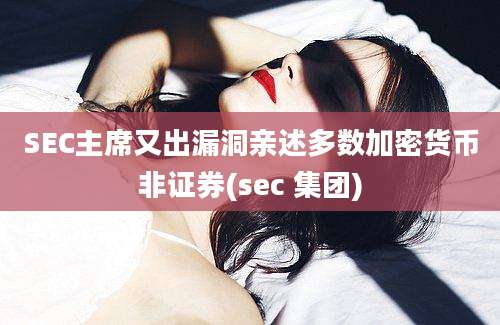 SEC主席又出漏洞亲述多数加密货币非证券(sec 集团)