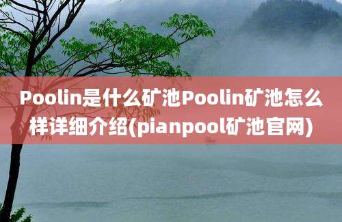 Poolin是什么矿池Poolin矿池怎么样详细介绍(pianpool矿池官网)