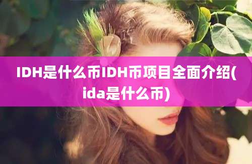 IDH是什么币IDH币项目全面介绍(ida是什么币)