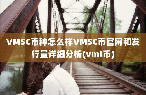 VMSC币种怎么样VMSC币官网和发行量详细分析(vmt币)