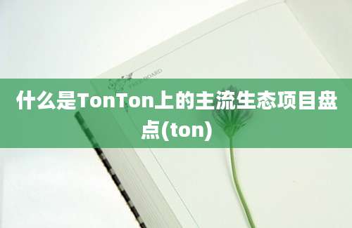 什么是TonTon上的主流生态项目盘点(ton)