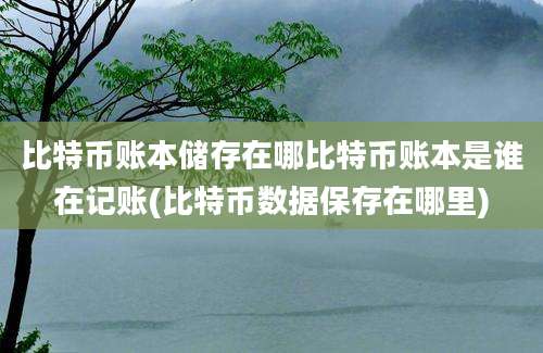 比特币账本储存在哪比特币账本是谁在记账(比特币数据保存在哪里)