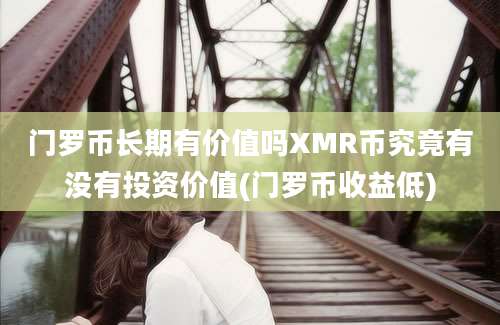 门罗币长期有价值吗XMR币究竟有没有投资价值(门罗币收益低)