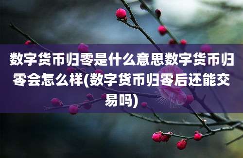 数字货币归零是什么意思数字货币归零会怎么样(数字货币归零后还能交易吗)