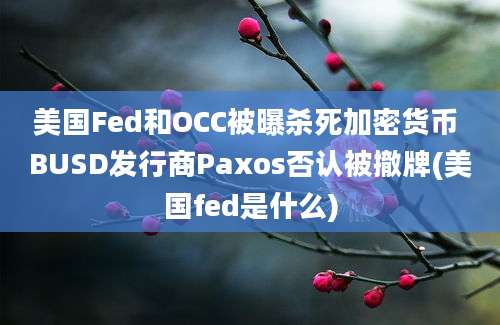 美国Fed和OCC被曝杀死加密货币 BUSD发行商Paxos否认被撤牌(美国fed是什么)