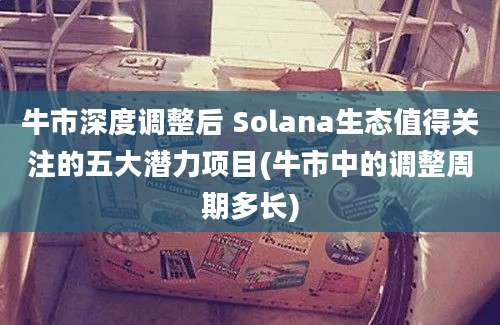 牛市深度调整后 Solana生态值得关注的五大潜力项目(牛市中的调整周期多长)