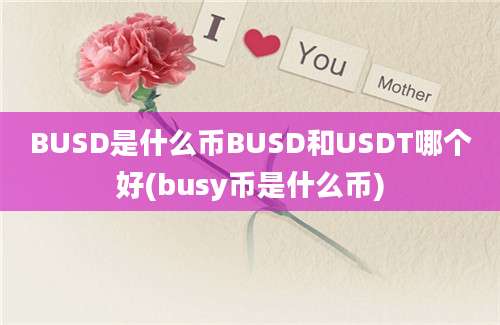 BUSD是什么币BUSD和USDT哪个好(busy币是什么币)