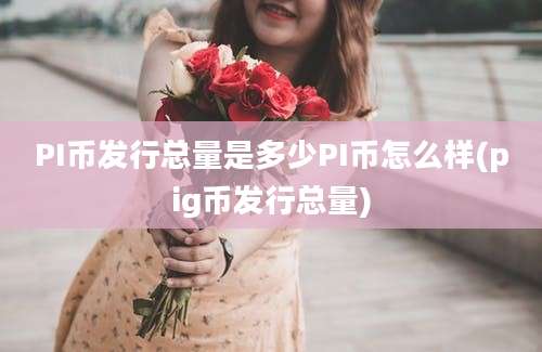 PI币发行总量是多少PI币怎么样(pig币发行总量)