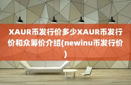 XAUR币发行价多少XAUR币发行价和众筹价介绍(newinu币发行价)