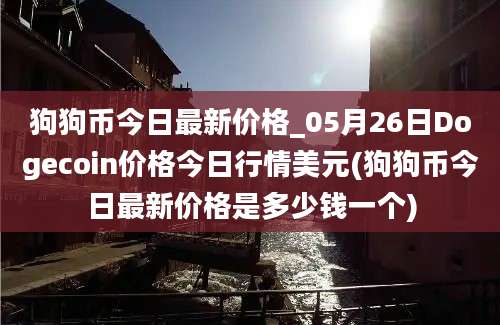 狗狗币今日最新价格_05月26日Dogecoin价格今日行情美元(狗狗币今日最新价格是多少钱一个)