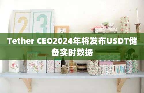 Tether CEO2024年将发布USDT储备实时数据