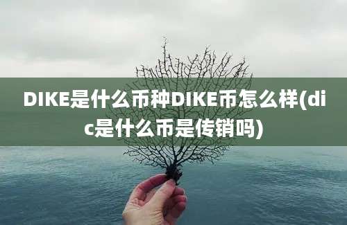 DIKE是什么币种DIKE币怎么样(dic是什么币是传销吗)