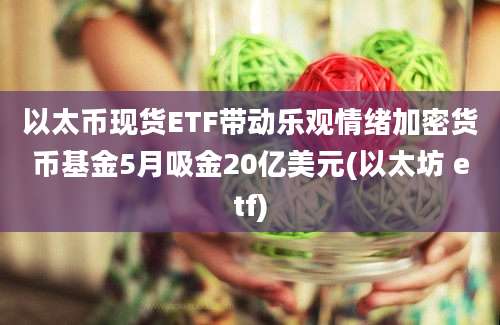 以太币现货ETF带动乐观情绪加密货币基金5月吸金20亿美元(以太坊 etf)