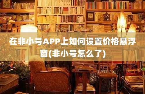 在非小号APP上如何设置价格悬浮窗(非小号怎么了)