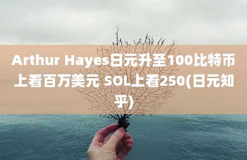 Arthur Hayes日元升至100比特币上看百万美元 SOL上看250(日元知乎)