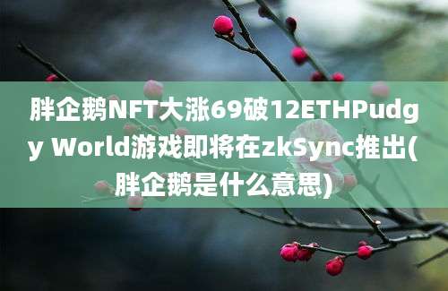 胖企鹅NFT大涨69破12ETHPudgy World游戏即将在zkSync推出(胖企鹅是什么意思)