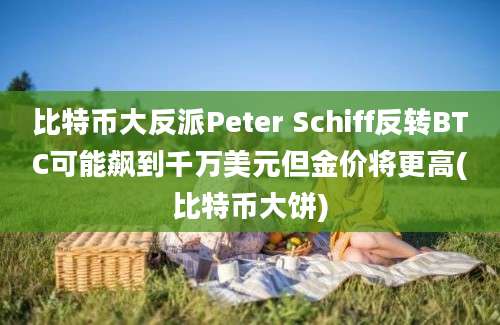 比特币大反派Peter Schiff反转BTC可能飙到千万美元但金价将更高(比特币大饼)