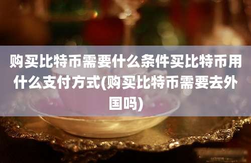 购买比特币需要什么条件买比特币用什么支付方式(购买比特币需要去外国吗)