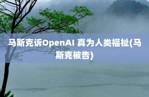 马斯克诉OpenAI 真为人类福祉(马斯克被告)